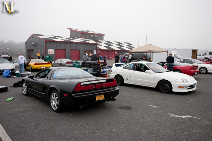 foggy_paddock2